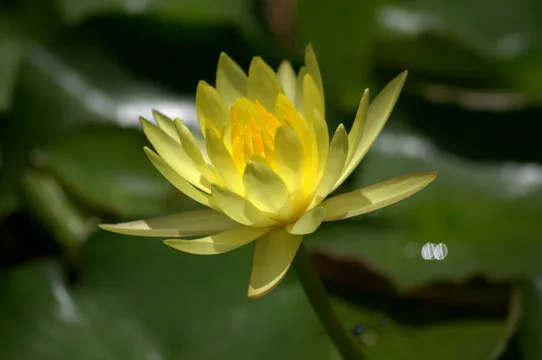 长征娱乐 平台特色